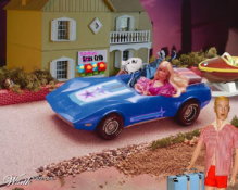 Big boned Barbir Car